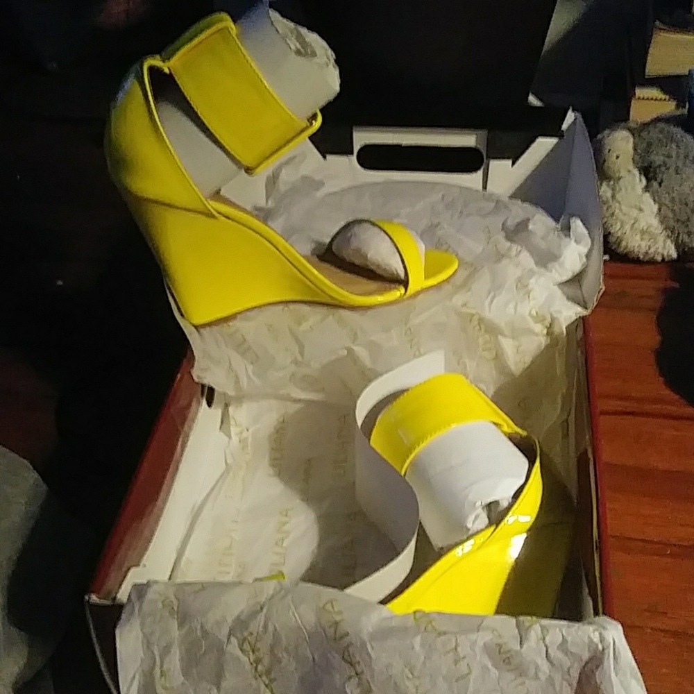 A Beautiful pair of Shoes